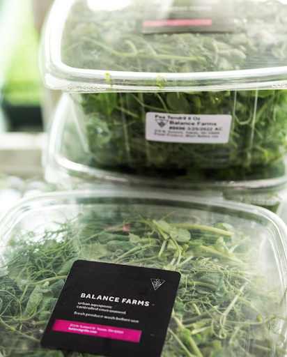 Sealed containers of Balance Farms microgreens prepared for local distribution in eco-friendly packaging.