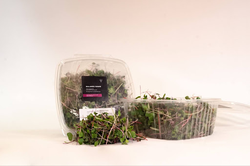 Microgreens and edible flowers packaged and sold by Balance Farms.
