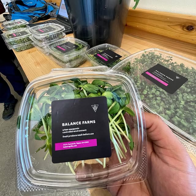 A package of organic Balance Farms microgreens, showcasing freshness and sustainability.